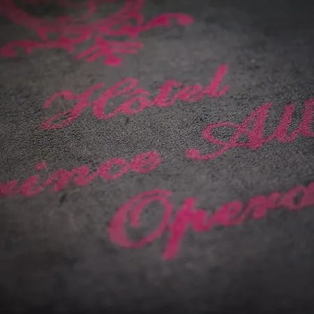 阿尔伯特王子歌剧院酒店 酒店 3*