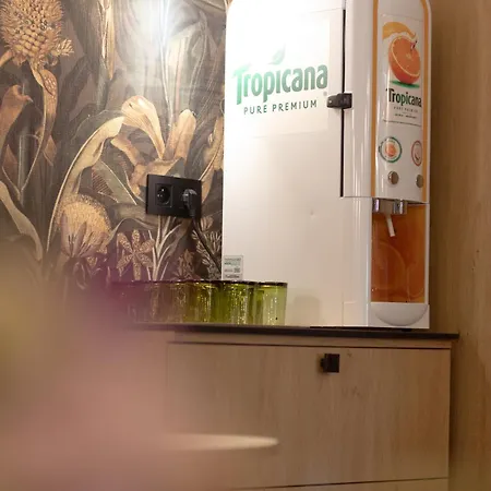 阿尔伯特王子歌剧院酒店 3* 巴黎